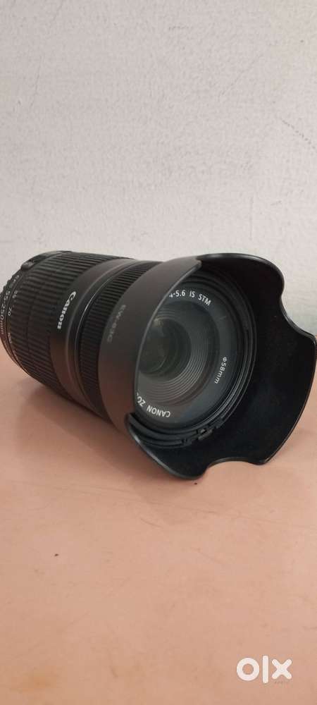Canon ef 55-250 mm lens