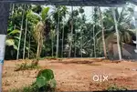 84 Cent Commercial Land For Sale at Mattannur, Kannur (nz)