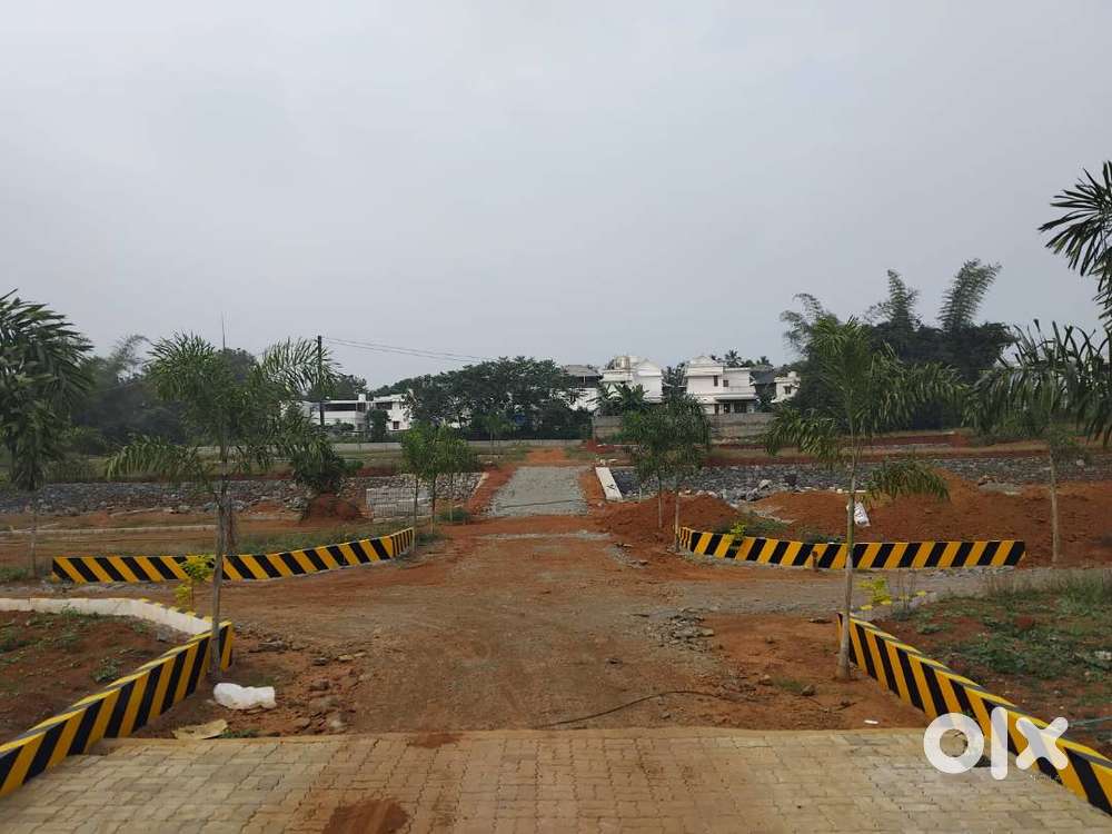 NSS കോളേജിന് സമീപം 3 BHKവില്ല പ്ലോട്ടുകൾ വില്പനക്