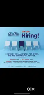 Coordinator Sales