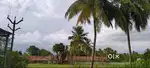 Farming land