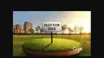Only serious buyer contact pls
