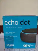 Amazon Echo Dot