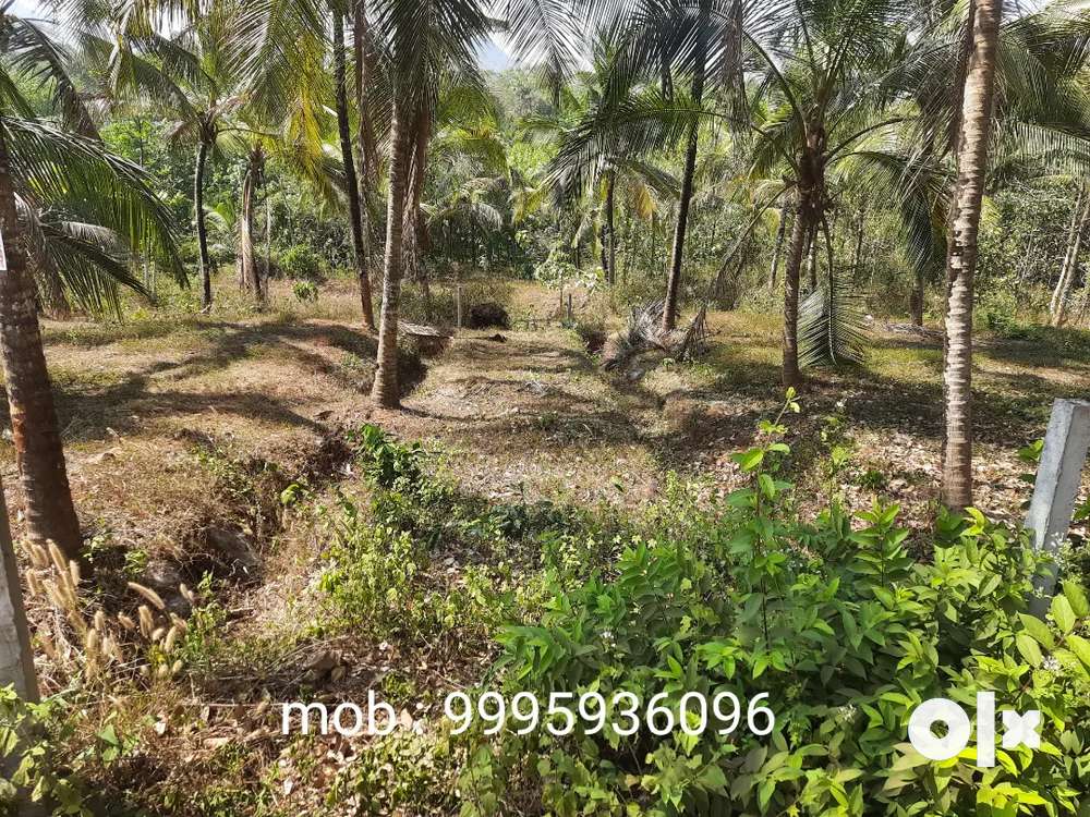 40 cents of land suitable for house