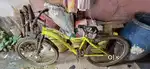 Gang Cycle
