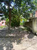 Plot area (Land) in Main kalupur bazar market (near Bus stand)