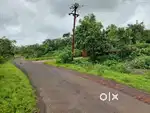 Farm House Plot for sale near Dapoli, Konkan