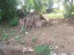 Site for sale