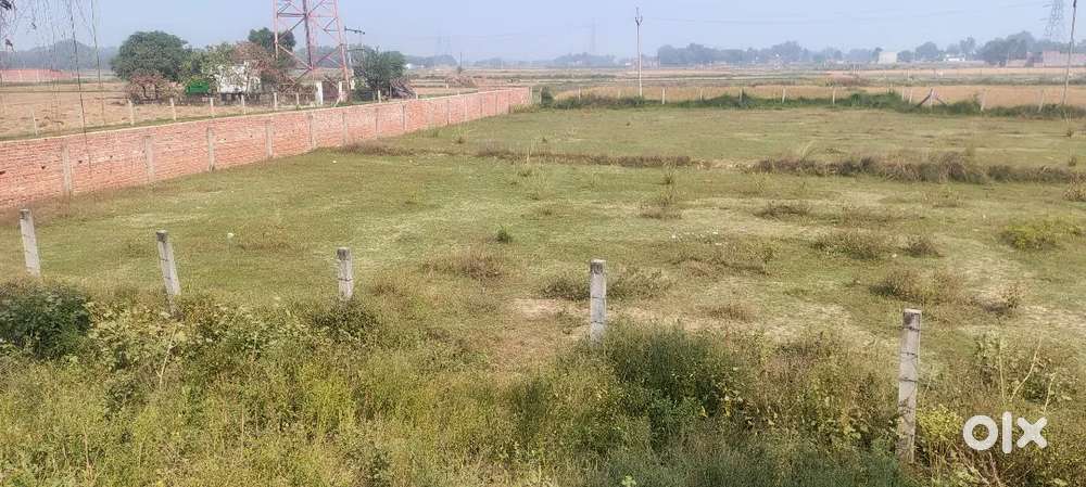 25 lakh biswa hai mirjapur haiway pe hai rampur mungari vale road pe