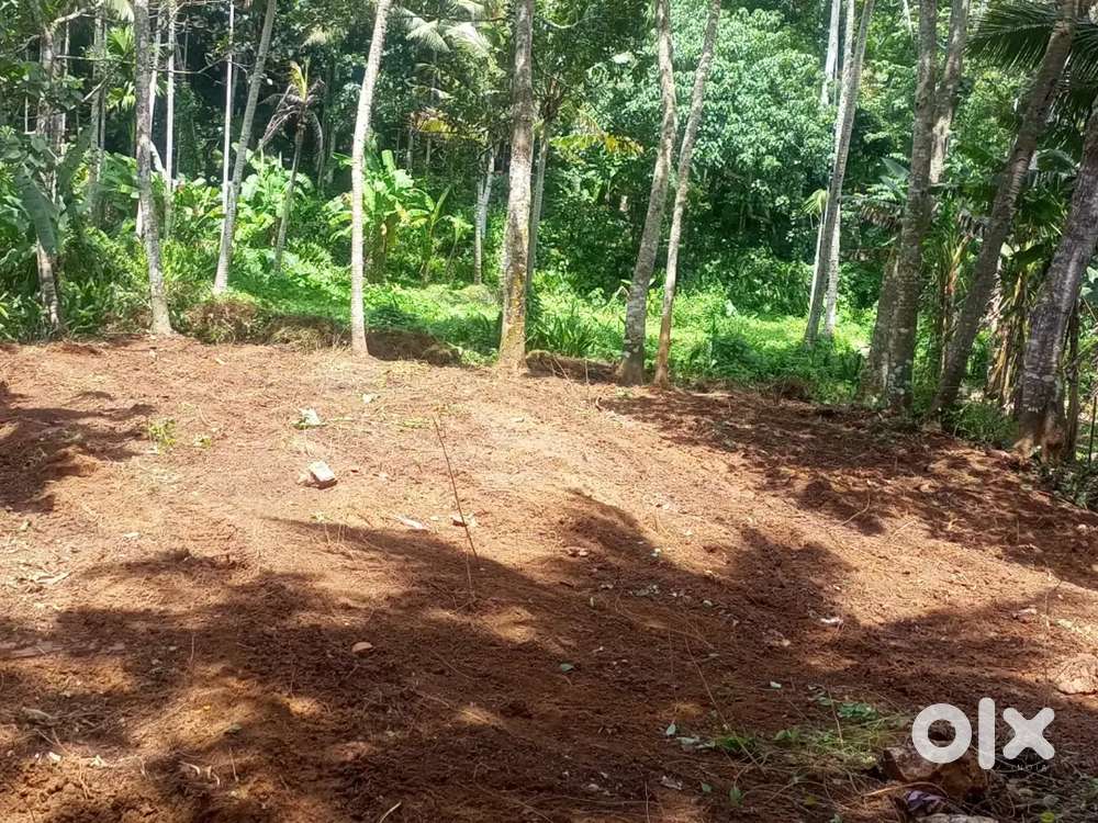 14 cend       2  L      1 cend