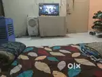 Room mate required