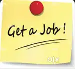 Real income platform for freshers