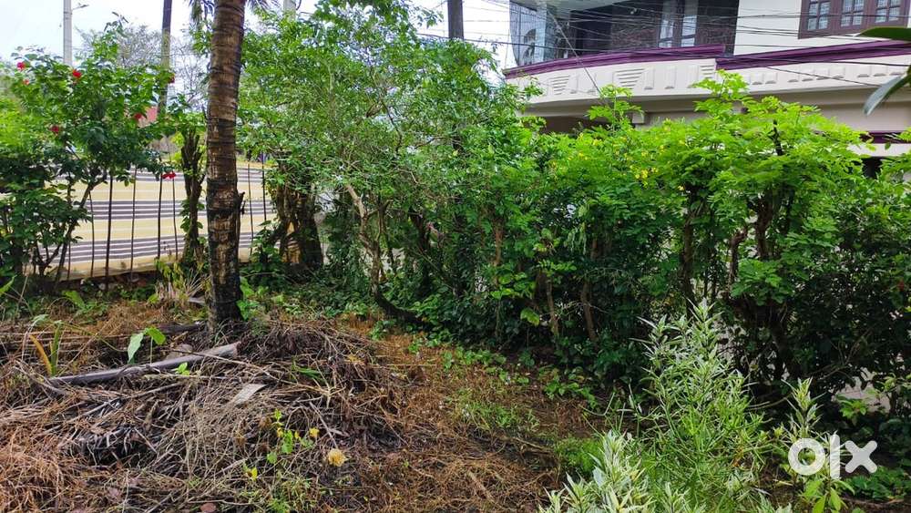 9 cent land for sale