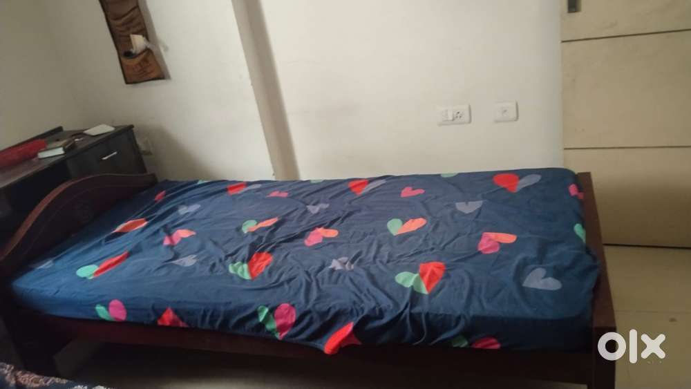 Single cot & Foam matress