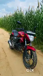 Good condition suzuki gixxer