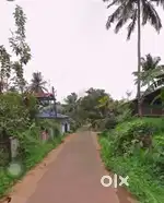 Six cent Plot For Sale in Pananchery panchayath,Thrissur