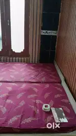 Pg for girls and boys