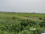 Land for sale of 171bigha
