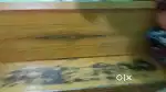 Sofa Cum Bed heavy gauge