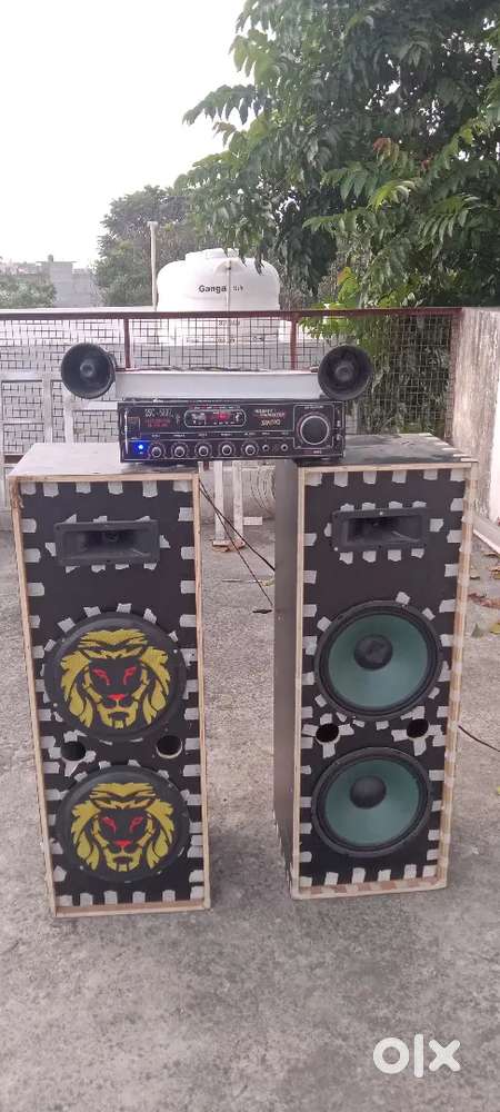 10in double coloum wit 1000w amblifire 1mic 1chip 2 crystel