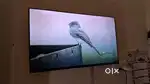 Led tv 40 inch one plus
