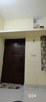 Need a girl roommate
