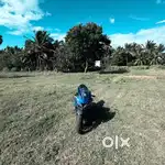 Can you buy this