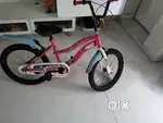 4 to 5 year girl cycle