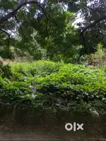 PLOT FOR SALE IN RAGHAVA NAGAR, NERALURU
