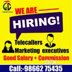 Telecalling * Marketing executive