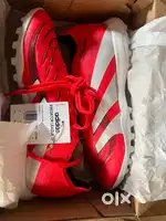 Adidas predator Futsal shoes