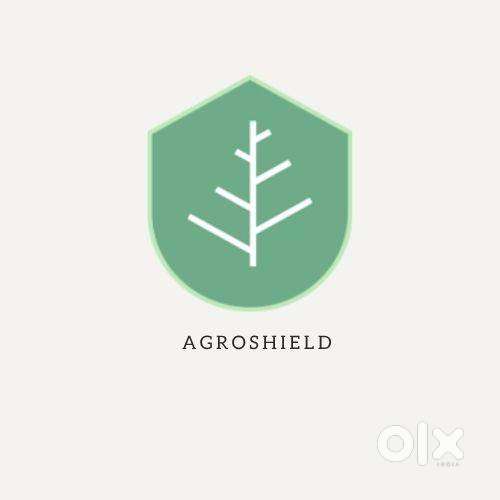 Sales Executive (B2B Fresh Produce)  Company: Agroshield