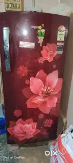 Whirlpool 200-liter direct cool single-door refrigerator
