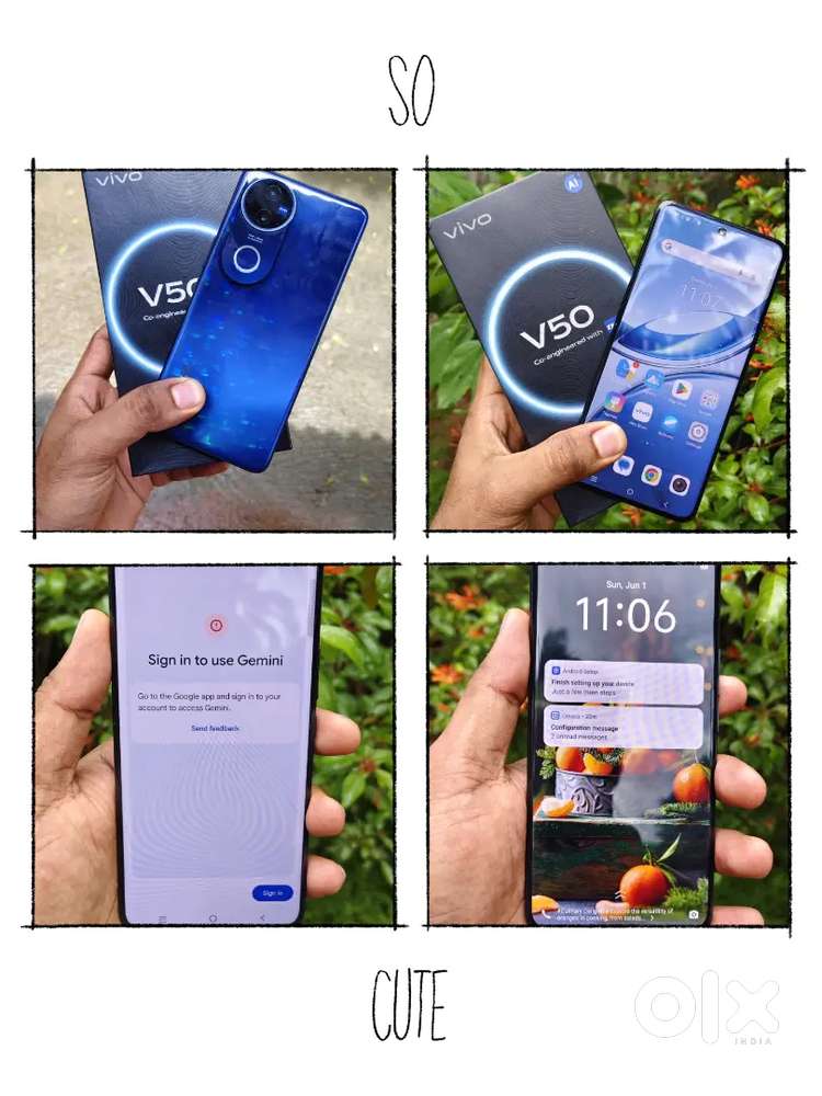 Vivo v50  used