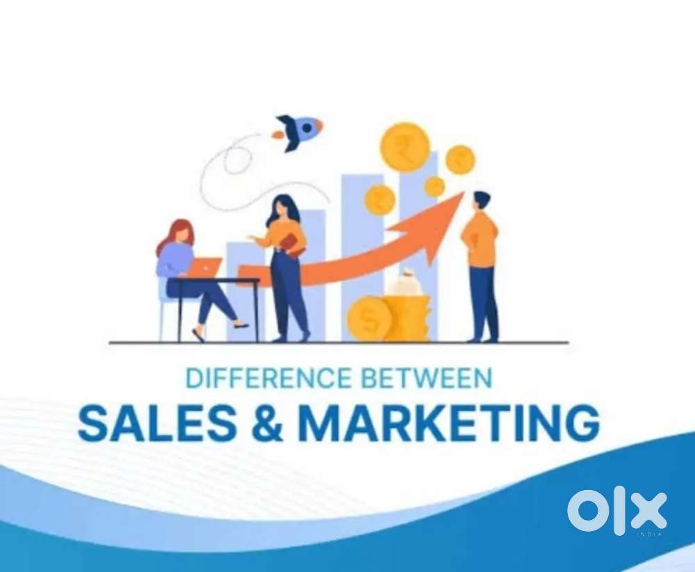 Sales and Marketing Executive