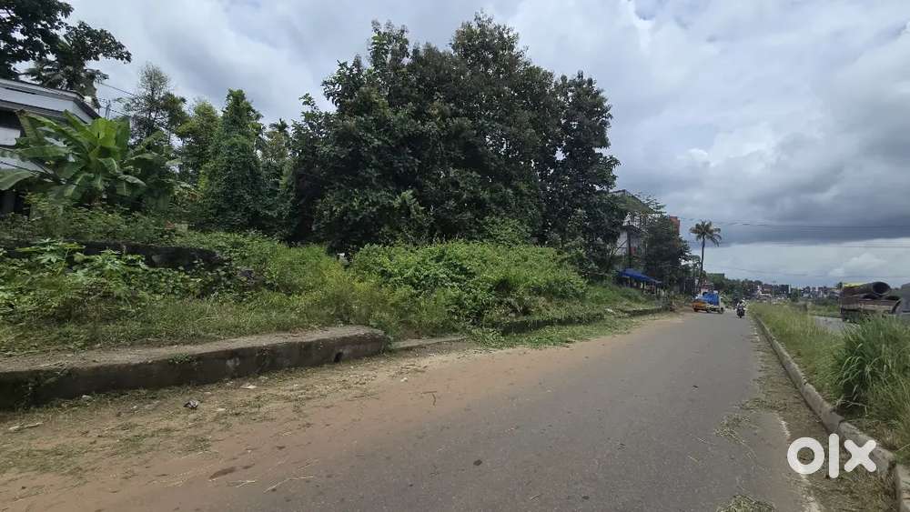 Angamaly NH frontage 11 cent commercial land for sale immediately