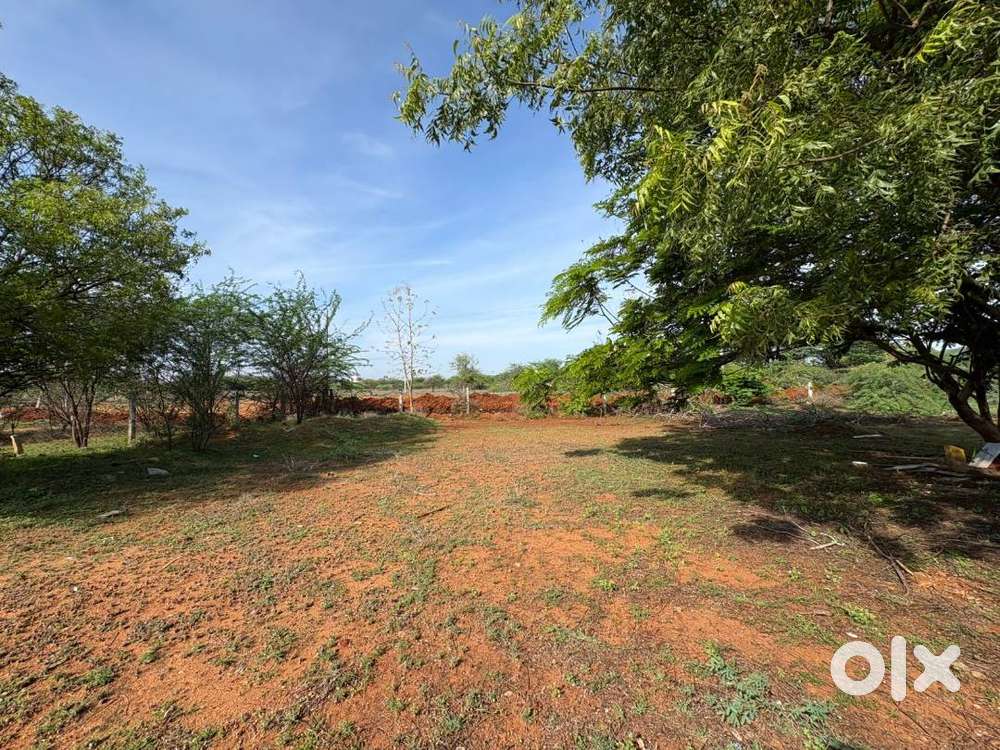 Land for sale in Banu nagar, Chettikulam, Naduvakurichi