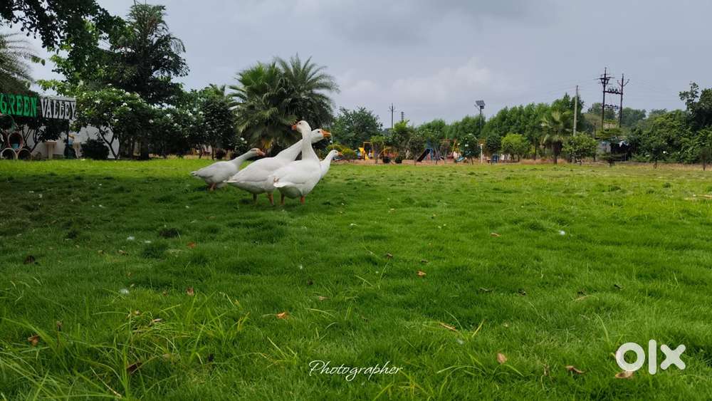 Highway touch farmland in amravati road