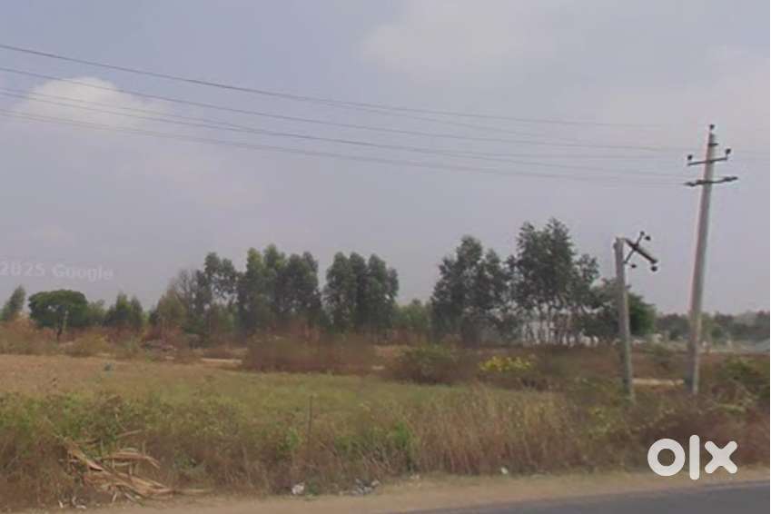 Land for warehouse - long term lease.