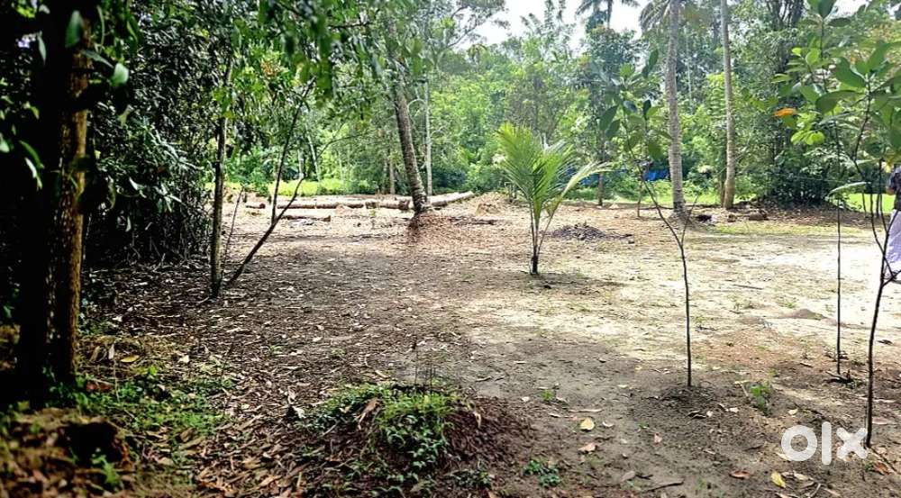 5 cent plot ചേർത്തല പുത്തനമ്പലം അയ്യപ്പൻ ചേരി സമീപം