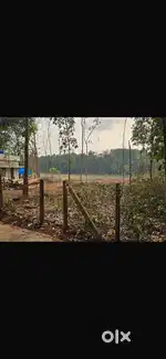 Residential plot for house for sale in ottapalam , thrikkangode
