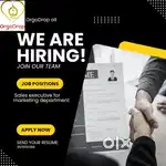 Sales executive