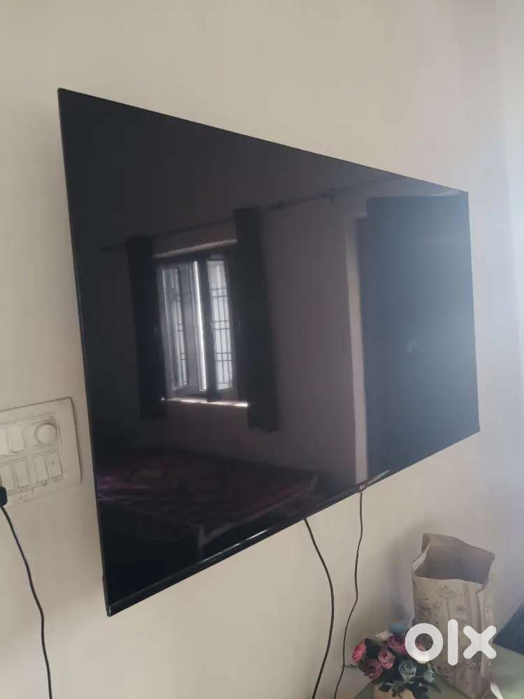 Tv 65 inch,sofa bed for sale