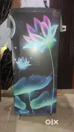 Electrolux Fridge