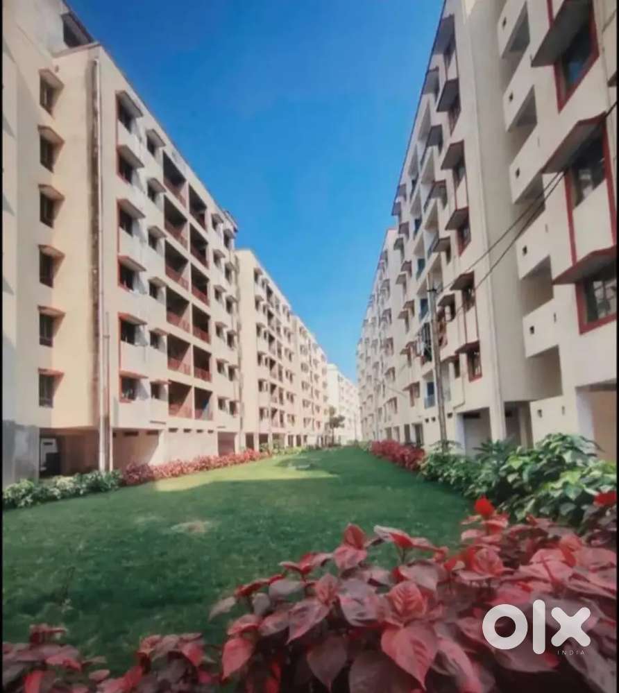 Newly build flats for rent