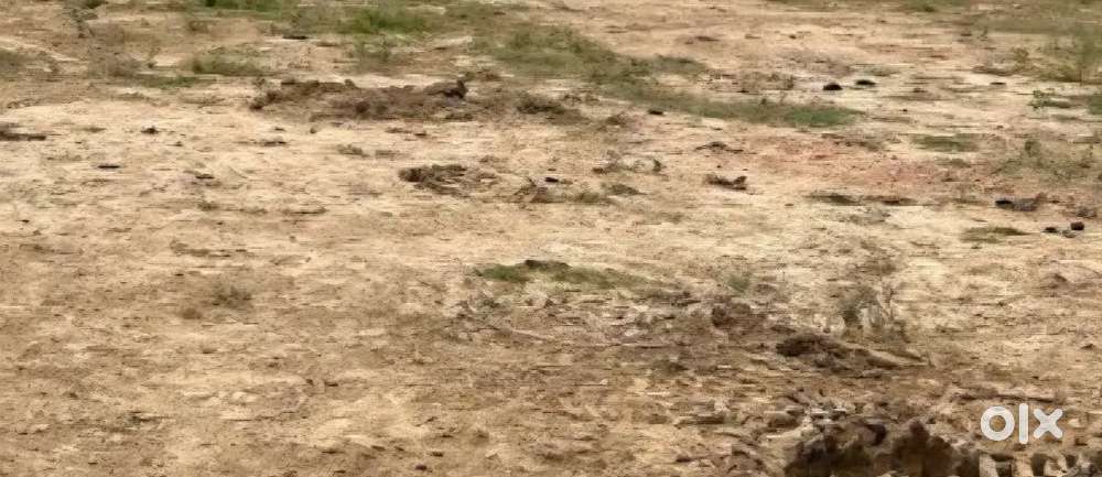 Satai road pitambra se 1000.meter aage.1000 sq ke 2 plot sale