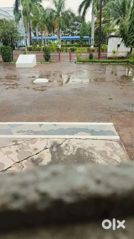 Argent  beby care chahiye bilaspur me