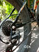 Fat cycle 6 month