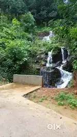 17 Acres Rubber Estate for Sale@ Pathanamthitta