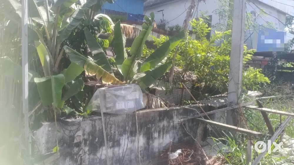 Bypass frontage 5 cent old house